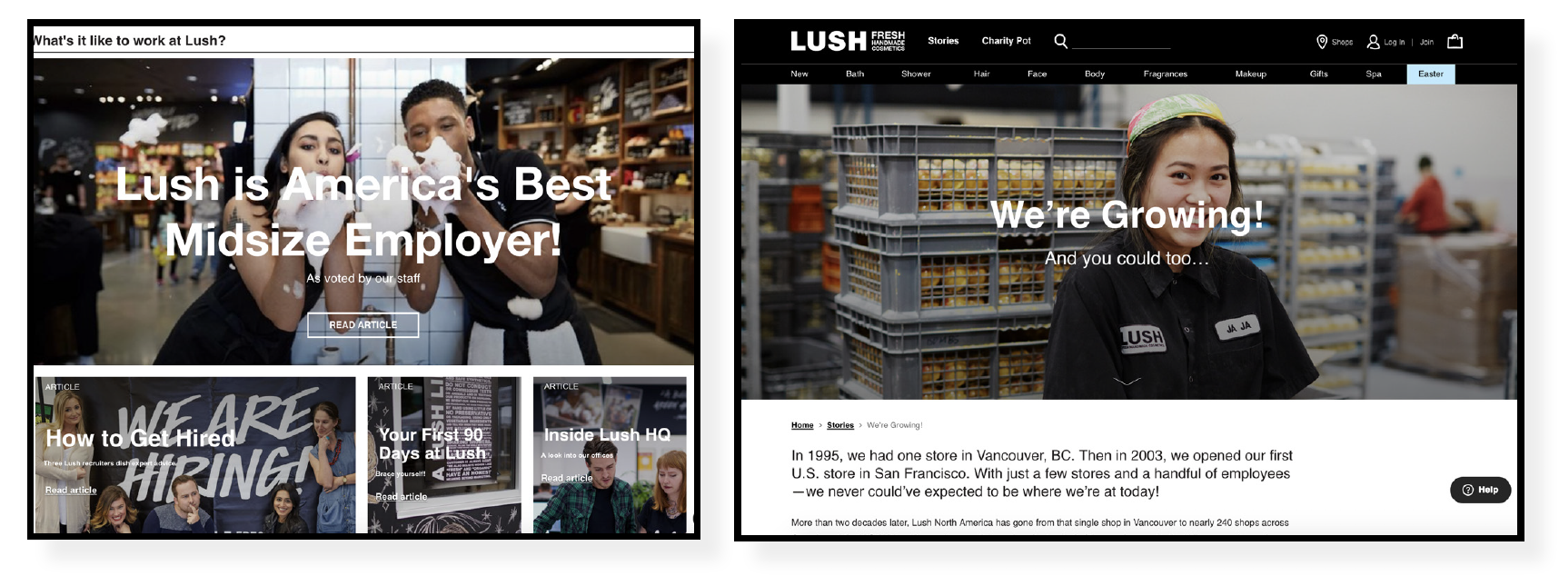 Source: Lush Careers