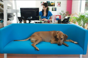 Wellness in the Workplace - Heritage Office Furniture